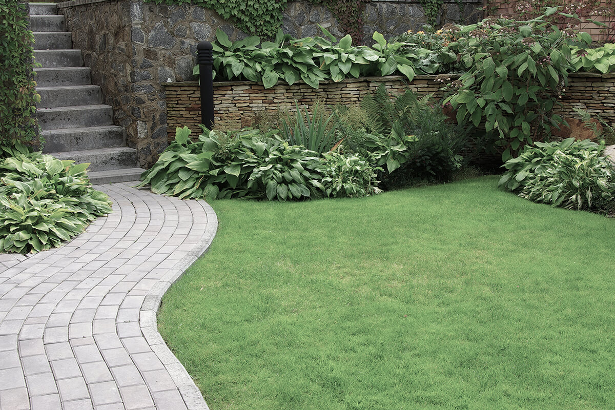 Welcome to APNW Landscaping